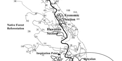 Мао Лион arboretum
